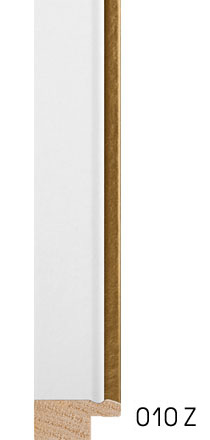 Paspartu - Color lajsna c 51